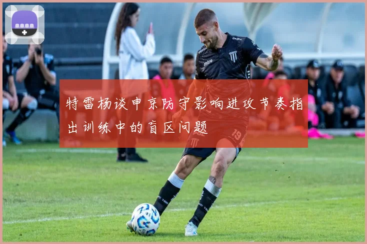 特雷杨谈申京防守影响进攻节奏指出训练中的盲区问题