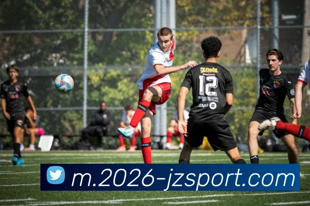 九州体育APP 封面图